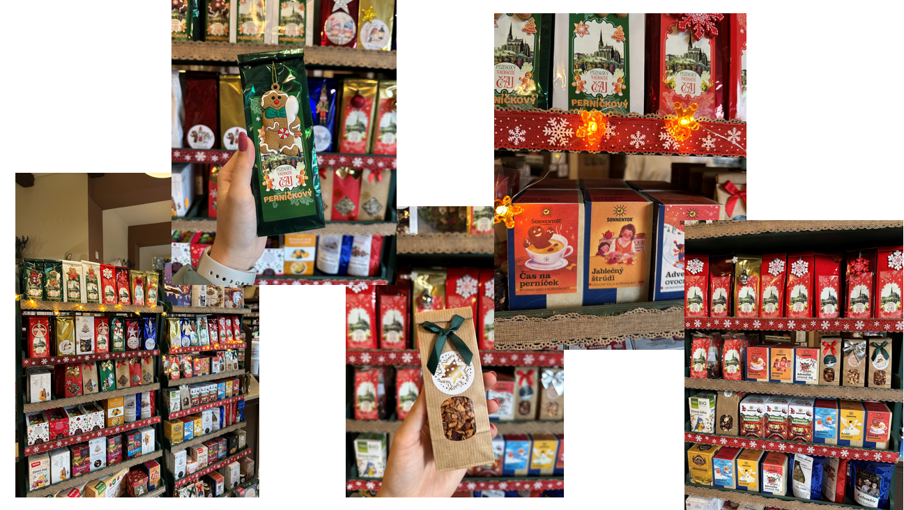 Snímek obrazovky 2025-12-01 173020